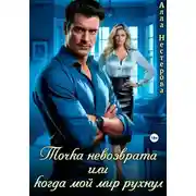 Постер книги Точка невозврата или когда мой мир рухнул