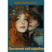 Постер книги Пролетая над городом