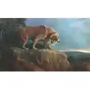 Постер книги Знак махайрода