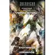 Постер книги Мерило истины