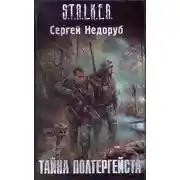 Постер книги Тайна Полтергейста