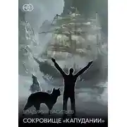 Постер книги Командор флота