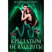 Постер книги Крылатым не входить!
