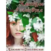 Постер книги Каникулы в замке Фрим