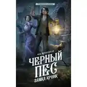 Постер книги Черный пес замка Кронк