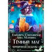 Постер книги Темный маг для Черничной ведьмы