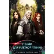 Постер книги Гнездо для залетной птички