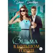 Постер книги Ведьма в большом городе