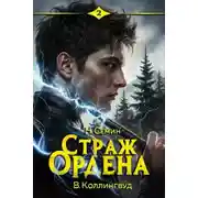 Постер книги Страж Ордена 2