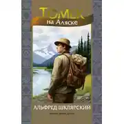 Постер книги Томек на Аляске