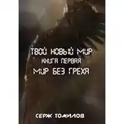 Постер книги Мир без греха