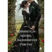 Постер книги Уравнитель магии. Свалившееся счастье