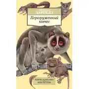 Постер книги Перегруженный ковчег