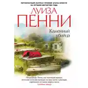 Постер книги Каменный убийца