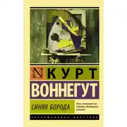 Постер книги Синяя борода