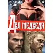 Постер книги Два медведя