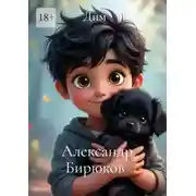 Постер книги Дим