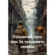 Постер книги Позывной Шах, или За тридевять земель