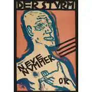 Постер книги Штурм