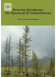 Вячеслав Дегтяренко - От Курильска до Северодвинска. Заметки ковидного времени