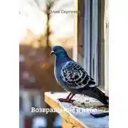 Постер книги Возвращение в небо