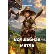 Постер книги Волшебная метла
