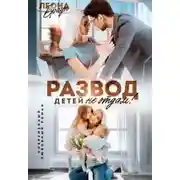 Постер книги Развод. Детей не отдам!