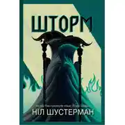 Постер книги Шторм