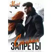 Постер книги Стирая запреты