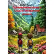 Постер книги Приключения Маши и Саши в загадочной долине