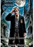 Валентин Никора - Гарри Поккер и Полный маразм