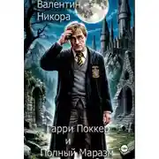 Постер книги Гарри Поккер и Полный маразм