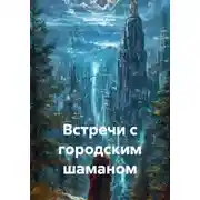 Постер книги Встречи с городским шаманом