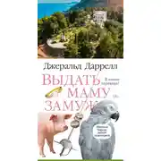 Постер книги Выдать маму замуж