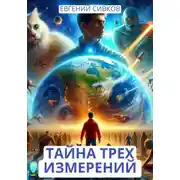 Постер книги Тайна трех измерений