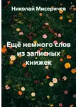 Николай Мисеричев - Ещё немного слов из записных книжек