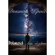 Постер книги Polaroid. Лик бездны