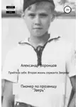 Александр Воронцов - Прийти в себя. Вторая жизнь сержанта Зверева