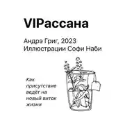 Постер книги VIPасана