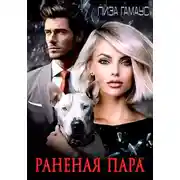 Постер книги Раненая пара