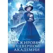 Постер книги Стажировка в Северной Академии -1-