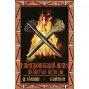 Постер книги Ромодановский шлях. Забытые победы