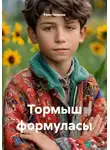 Раил Газизов - Тормыш формуласы