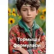 Постер книги Тормыш формуласы