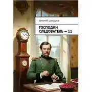 Постер книги Господин следователь 11