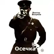 Постер книги Осечка
