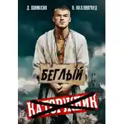 Постер книги Беглый