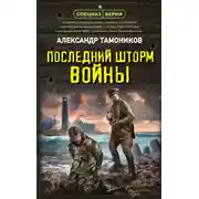 Постер книги Последний шторм войны