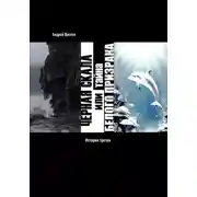 Постер книги Чёрная Скала или тайна Белого Странника: история тертья