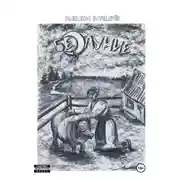 Постер книги Безлуние